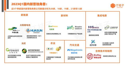 2023第一季度國(guó)內(nèi)貿(mào)易代理獨(dú)角獸崛起 資本力量與行業(yè)新秀